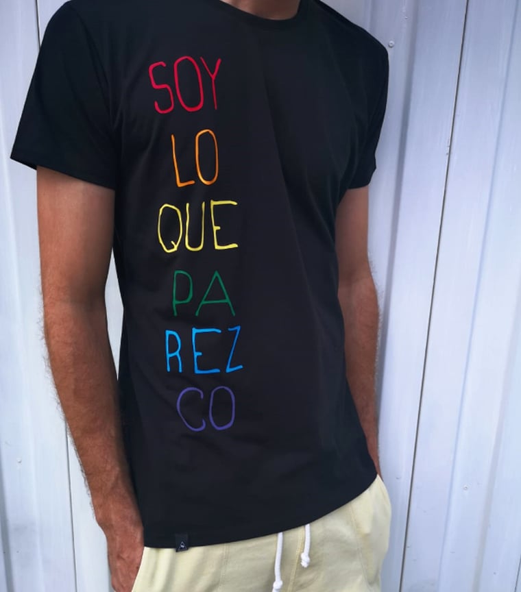 Camiseta Soy Lo Que Parezco Pride