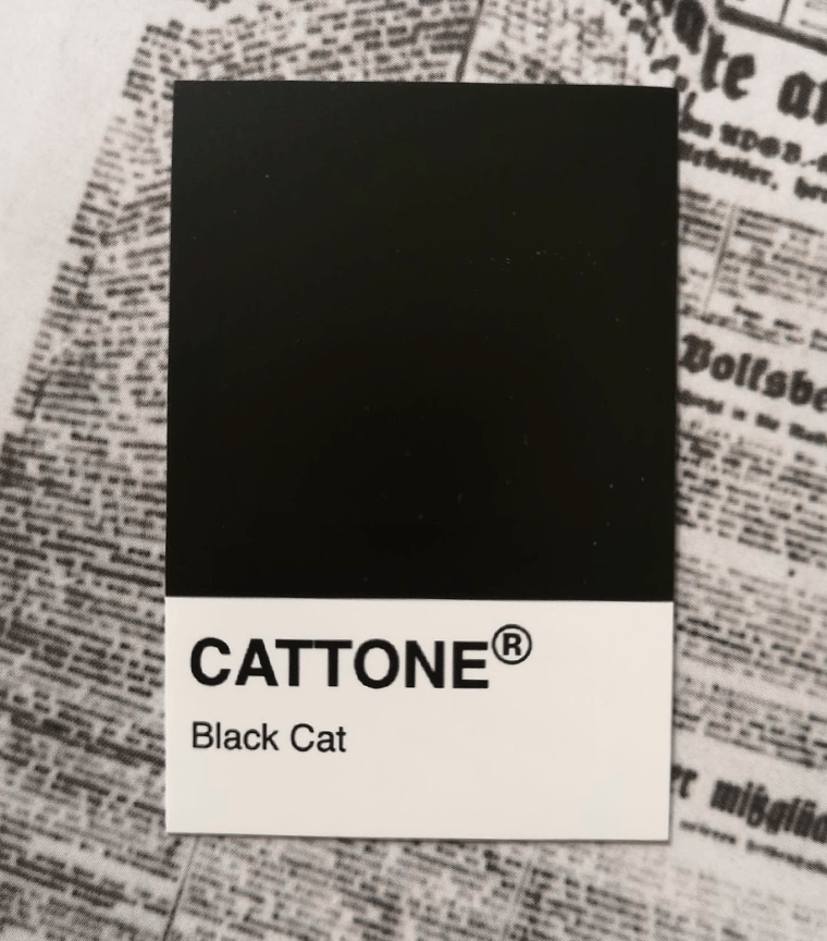 Sticker Cattone