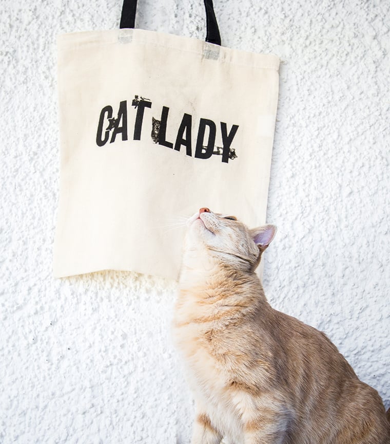 Bolsa Cat Lady